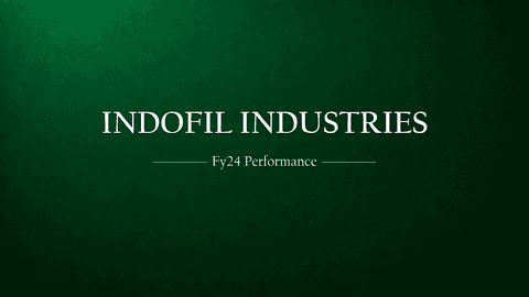 Indofil Industries Fy24 Performance